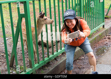 A female tourist taking a selfie photo with a sika deer in Nara Park. Stock Photo