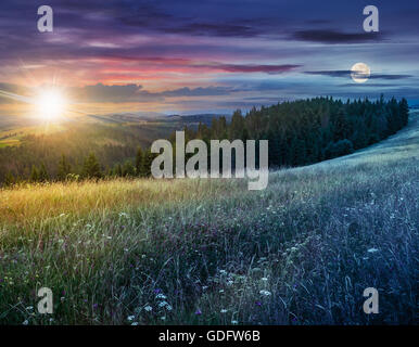 day and night composite image of large meadow with mountain herbs and a conifer forest in front of mountainous massif away in th Stock Photo