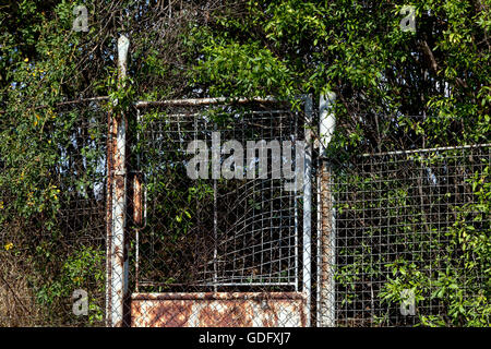 Ingrown rusted doors fence, garden Stock Photo