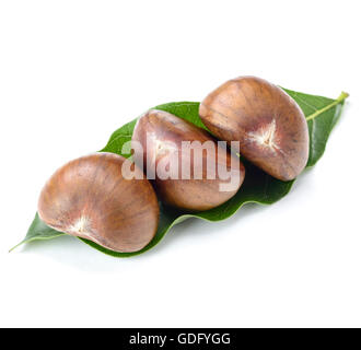 chestnuts on white Stock Photo
