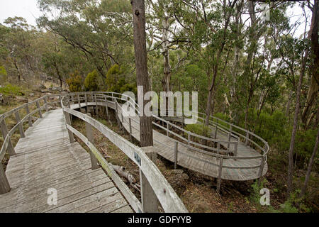 Unique curved wooden boardwalk snaking through forest above rocky hillside to protect environment & provide access to walkers Stock Photo
