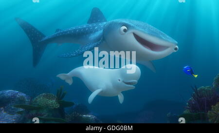 RELEASE DATE: June 17, 2016 TITLE: Finding Dory STUDIO: Pixar Animation DIRECTOR: Andrew Stanton, Angus MacLane PLOT: The friendly-but-forgetful blue tang fish reunites with her loved ones, and everyone learns a few things about the real meaning of family along the way. STARRING: Ellen DeGeneres, Albert Brooks, Ed O'Neill (Credit: c Pixar/Entertainment Pictures/) Stock Photo