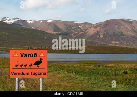 Iceland: warning sign for the passage of ducks in the fjord of Akureyri, the capital of the north Stock Photo