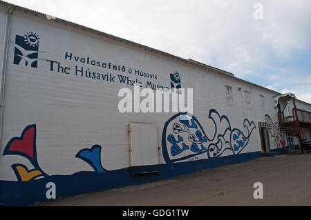 Iceland, Northern Europe: the Husavik Whale Museum in the fishing town on the north coast of the island famous for the whale watching Stock Photo