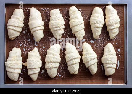 Unbaked croissant placed on brown waxed paper in a stainless steel tray Stock Photo