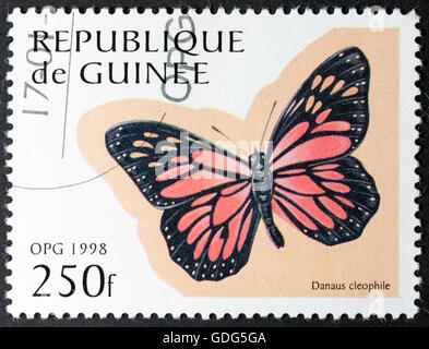 GROOTEBROEK ,THE NETHERLANDS - MARCH 20,2016 : A stamp printed by GUINEE, shows butterfly, circa 1998. Stock Photo