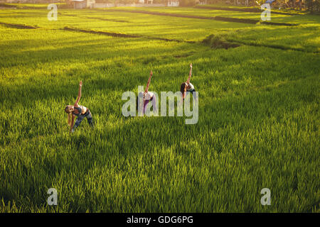 Outdoor shot of young people exercising in farm. Three young women working out in green farm land. Stock Photo