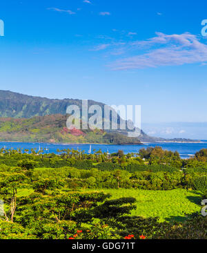 View of Hanalei from overlook off the road Stock Photo