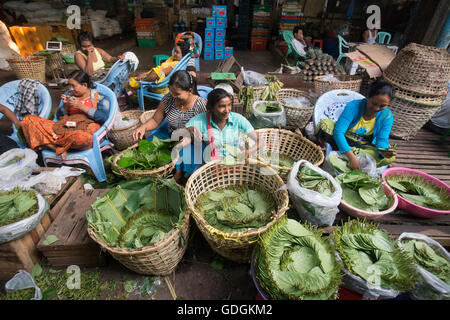 Betel nut at a Market near the City of Yangon in Myanmar in Southeastasia. Stock Photo