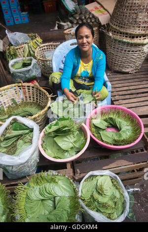 Betel nut at a Market near the City of Yangon in Myanmar in Southeastasia. Stock Photo