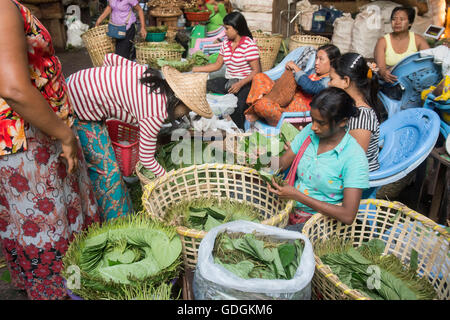 Betel nut at a Market near the City of Yangon in Myanmar in Southeastasia. Stock Photo