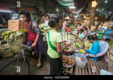 Betel nut at a Market near the City of Yangon in Myanmar in Southeastasia. Stock Photo