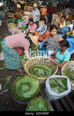 Betel nut at a Market near the City of Yangon in Myanmar in Southeastasia. Stock Photo