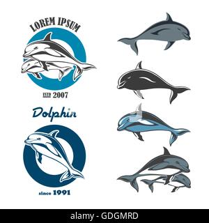 Set of emblem of a dolphin. Isolated labels and objects on a white background Stock Vector