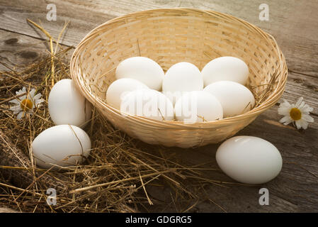 eggs in a wicker basket Stock Photo