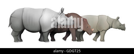 Asiatic Rhinoceros Species Stock Photo