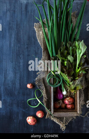 Fresh vegetables ingredients for cooking on dark background, top view, place for text Stock Photo