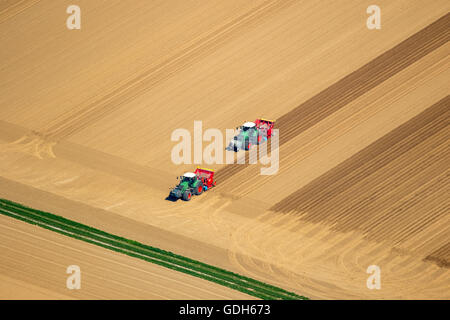 Aerial view, tractors in a field, arable, harrowing and seeding, Linnich, Lower Rhine, North Rhine-Westphalia, Germany Stock Photo