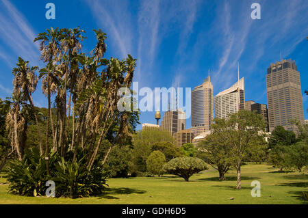 Royal Botanic Gardens, Sydney, New South Wales, Australia Stock Photo