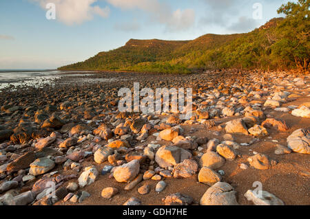 Smalleys Beach in Cape Hillsborough National Park. Stock Photo