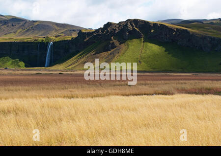 Iceland: wheat fields and the waterfall of Seljalandsfoss, part of river Seljalands which origins in the volcano glacier Eyjafjallajokull Stock Photo