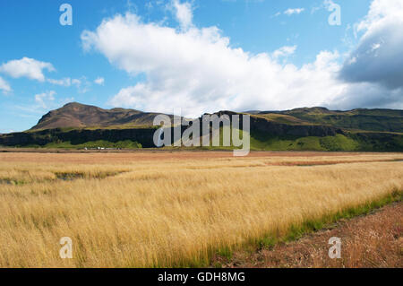 Iceland: wheat fields and the waterfall of Seljalandsfoss, part of river Seljalands which origins in the volcano glacier Eyjafjallajokull Stock Photo