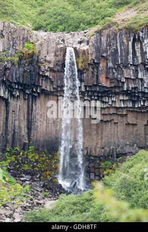 Iceland: view of Svartifoss, the Black Fall, a waterfall in Skaftafell surrounded by dark lava columns Stock Photo