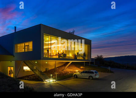 Jois: Leo Hillinger Winery, vineyard, Austria, Burgenland, Stock Photo