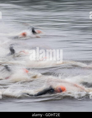 Hamburg, Germany. 16th July, 2016. Triathletes swimming in the 7th station of the men's triathlon at the World Triathlon Series in Hamburg, Germany, 16 July 2016. Photo: LUKAS SCHULZE/dpa/Alamy Live News Stock Photo