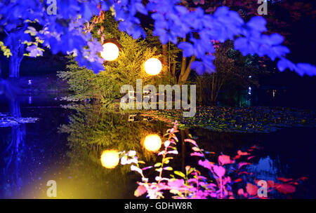 Dresden, Germany. 16th July, 2016. Spotlit trees are reflected in the water at the 8th Schloessernacht (lt. Castle Night) in Dresden, Germany, 16 July 2016. Photo: Britta Pedersen/dpa/Alamy Live News Stock Photo