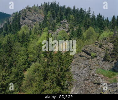 geography / travel, Germany, Bavaria, landscape / landscapes, Kaitersberg, Hoher Stein, Steinbühler Gesenke, Natural Preserve Upper Bavarian Forest, Stock Photo