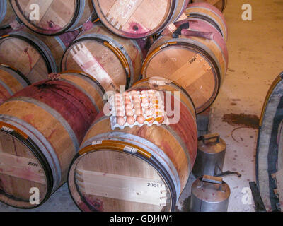 egg white clarification of red wine in barrels at Château Léoville-Barton, Saint-Julien Stock Photo