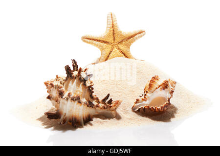 Starfish and couple of sea shells on pile of beach sand, isolated on white background. Beach wedding concept Stock Photo