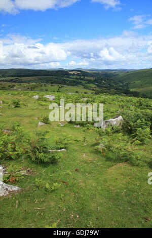 View from of Dart gorge from Combestone tor towards Dartmeet, Dartmoor national park, Devon, England, UK Stock Photo