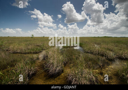 Scenic vistas of  Everglades National Park, Florida Stock Photo