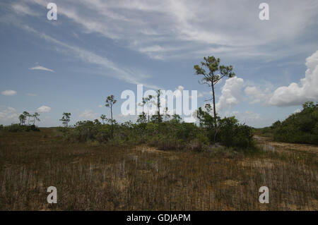 Scenic vistas of  Everglades National Park, Florida Stock Photo