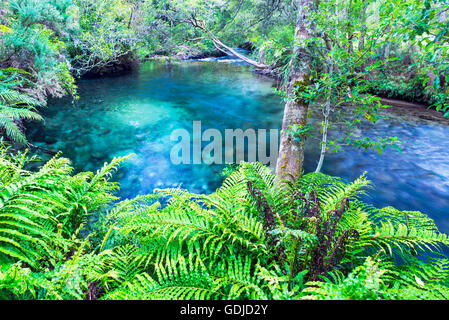 Te Waikoropupu Springs, Pupu Springs in the Golden Bay region on the South Island  in New Zealand Stock Photo