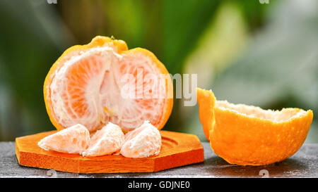 Sectioned, partly pealed mandarin fruit variety ponkan against green background Stock Photo