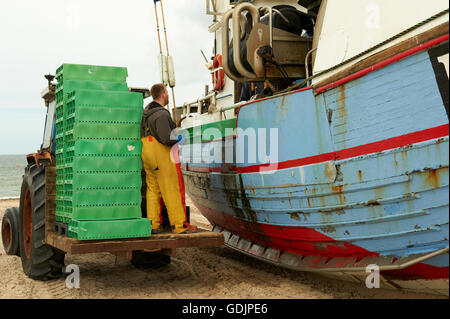 Fishing cutter on beach at Thorup Strand, Jutland, Denmark, unloading the fish from the boat to be put in the freezing house. Stock Photo