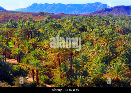 Oasis near Agdz, in the Draa river valley, Zagora province, Morocco. Stock Photo