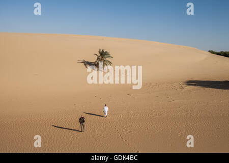 Dakhla Desert Park, a newly designated conservation area within Dakhla Oasis. Egypt Stock Photo