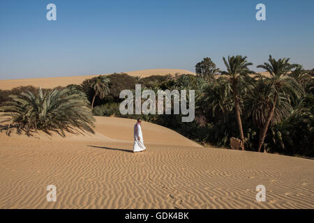 Dakhla Desert Park, a newly designated conservation area within Dakhla Oasis. Egypt Stock Photo