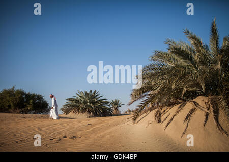 Dakhla Desert Park, a newly designated conservation area within Dakhla Oasis. Egypt Stock Photo