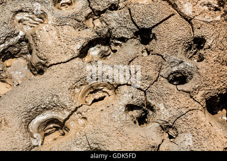 Dry mud in a volcanic pool of boiling mud in Nicaragua Stock Photo