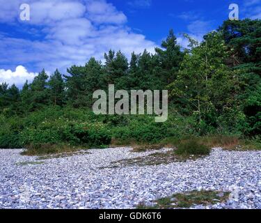 geography / travel, Germany, Mecklenburg-West Pomerania, Ruegen, landscape, peninsula Jasmund, Stock Photo