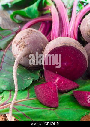 fresh beetroot Stock Photo