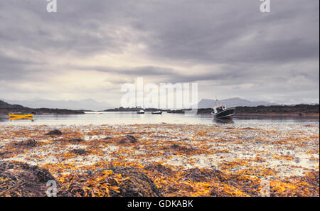 Low Tide Seaweed and Crab Fishing Boats, Southern End of the Sleat Peninsula, on the Isle of Skye in Scotland Stock Photo