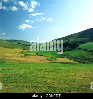 Valley of Jasy, Cezallier, Puy de Dome, Auvergne, France, Europe Stock Photo
