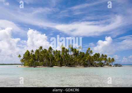 Blue Lagoon, Rangiroa atoll, Tuamotu Archipelago, French Polynesia, Pacific Ocean Stock Photo