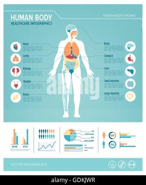 Medical infographic of human body Stock Vector Image & Art - Alamy